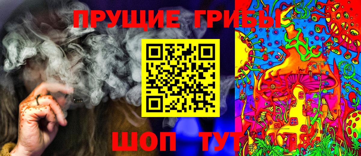 Псилоцибиновые грибы Cubensis Лесозаводск